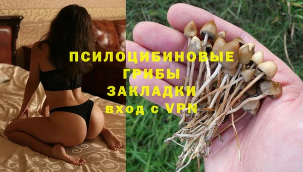 мескалин Лабытнанги