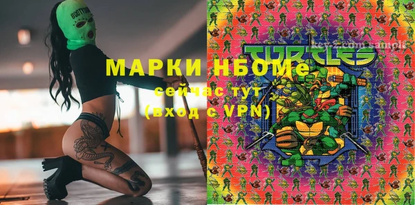 ГАЛЛЮЦИНОГЕННЫЕ ГРИБЫ Алексин