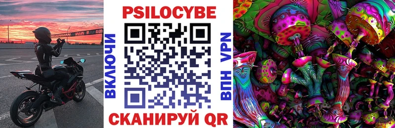 ОМГ ОМГ как войти  Красногорск  Галлюциногенные грибы Psilocybine cubensis 
