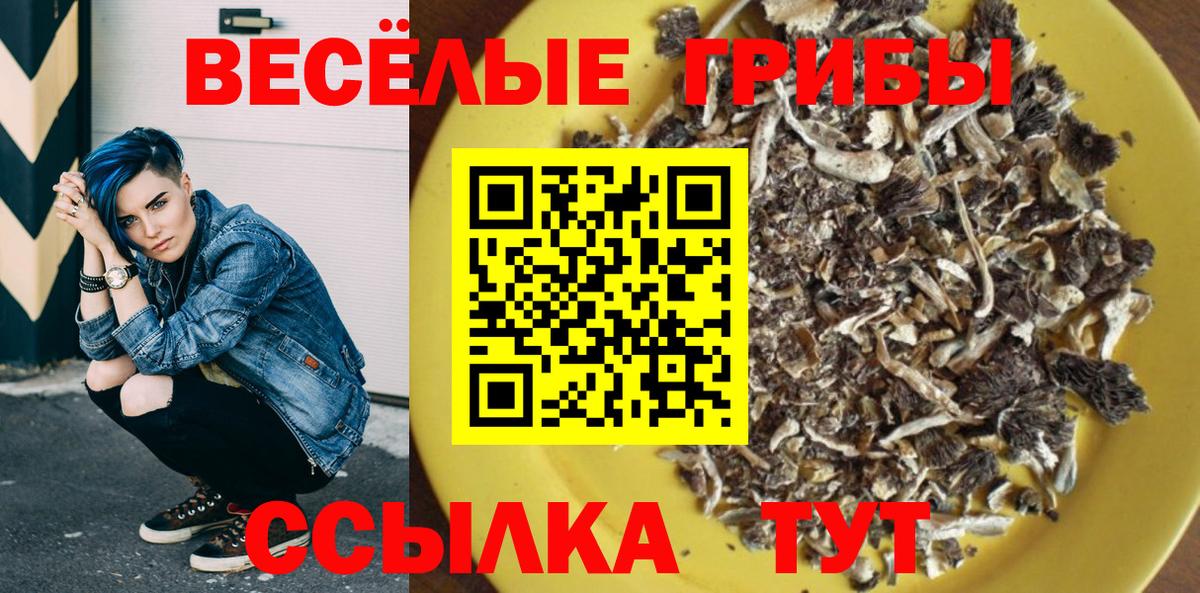 Псилоцибиновые грибы прущие грибы Красногорск
