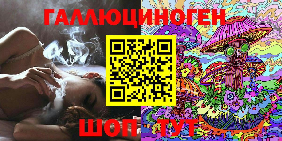 Красногорск  Псилоцибиновые грибы Psilocybine cubensis  Вход с VPN 